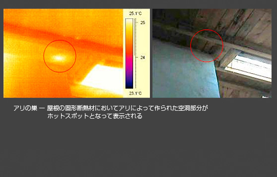害虫駆除